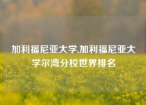 加利福尼亚大学,加利福尼亚大学尔湾分校世界排名