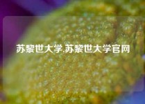 苏黎世大学,苏黎世大学官网