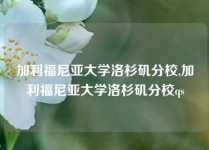 加利福尼亚大学洛杉矶分校,加利福尼亚大学洛杉矶分校qs