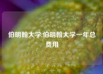 伯明翰大学,伯明翰大学一年总费用