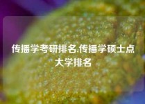 传播学考研排名,传播学硕士点大学排名