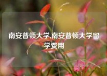 南安普顿大学,南安普顿大学留学费用