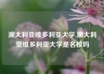 澳大利亚维多利亚大学,澳大利亚维多利亚大学是名校吗