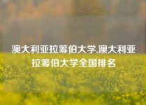 澳大利亚拉筹伯大学,澳大利亚拉筹伯大学全国排名