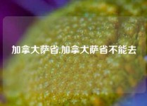 加拿大萨省,加拿大萨省不能去