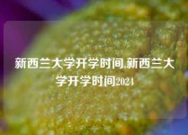 新西兰大学开学时间,新西兰大学开学时间2024