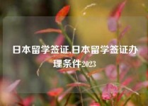 日本留学签证,日本留学签证办理条件2023