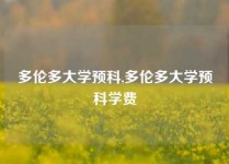 多伦多大学预科,多伦多大学预科学费