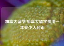 加拿大留学,加拿大留学费用一年多少人民币