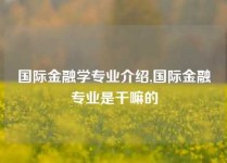 国际金融学专业介绍,国际金融专业是干嘛的