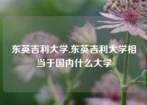 东英吉利大学,东英吉利大学相当于国内什么大学