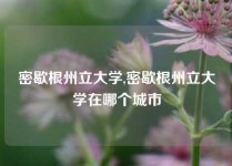 密歇根州立大学,密歇根州立大学在哪个城市