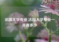 法国大学专业,法国大学专业一共有多少