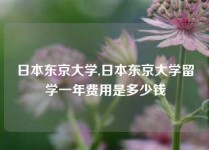 日本东京大学,日本东京大学留学一年费用是多少钱