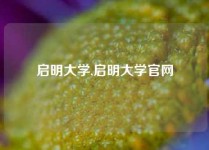 启明大学,启明大学官网