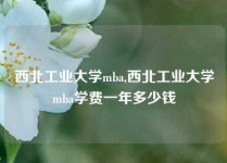 西北工业大学mba,西北工业大学mba学费一年多少钱