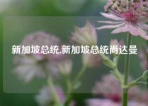 新加坡总统,新加坡总统尚达曼