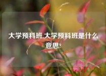 大学预科班,大学预科班是什么意思?