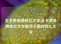 北卡罗来纳州立大学,北卡罗来纳州立大学相当于国内什么大学