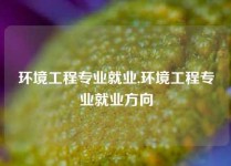 环境工程专业就业,环境工程专业就业方向