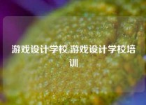 游戏设计学校,游戏设计学校培训