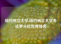 纽约州立大学,纽约州立大学布法罗分校世界排名