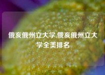 俄亥俄州立大学,俄亥俄州立大学全美排名