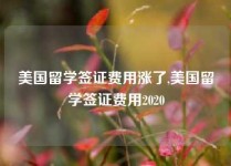 美国留学签证费用涨了,美国留学签证费用2020