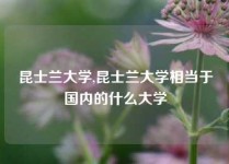 昆士兰大学,昆士兰大学相当于国内的什么大学