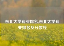 东北大学专业排名,东北大学专业排名及分数线