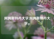 阿姆斯特丹大学,阿姆斯特丹大学qs