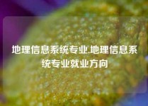 地理信息系统专业,地理信息系统专业就业方向