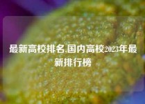 最新高校排名,国内高校2023年最新排行榜