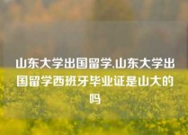 山东大学出国留学,山东大学出国留学西班牙毕业证是山大的吗