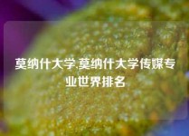 莫纳什大学,莫纳什大学传媒专业世界排名