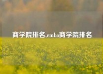 商学院排名,emba商学院排名