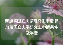 新加坡国立大学研究生申请,新加坡国立大学研究生申请条件及学费