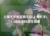 上海大学悉尼商学院,上海大学4+0国际本科招生简章