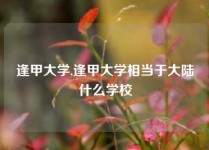 逢甲大学,逢甲大学相当于大陆什么学校