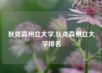 狄克森州立大学,狄克森州立大学排名