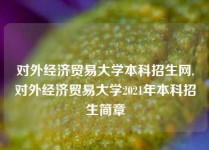 对外经济贸易大学本科招生网,对外经济贸易大学2021年本科招生简章