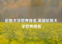 伦敦大学世界排名,英国伦敦大学世界排名