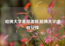 哈佛大学暑期课程,哈佛大学课程安排