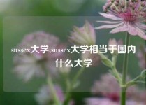 sussex大学,sussex大学相当于国内什么大学