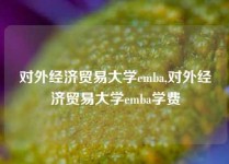 对外经济贸易大学emba,对外经济贸易大学emba学费