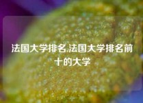 法国大学排名,法国大学排名前十的大学