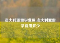 澳大利亚留学费用,澳大利亚留学费用多少