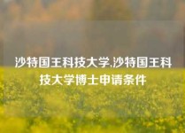 沙特国王科技大学,沙特国王科技大学博士申请条件