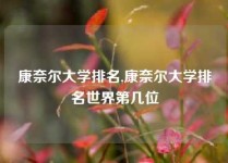 康奈尔大学排名,康奈尔大学排名世界第几位