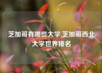 芝加哥有哪些大学,芝加哥西北大学世界排名